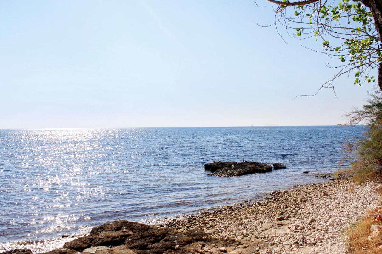 Holiday House With A Parking Space Babici, Umag - 13795 Eksteriør bilde